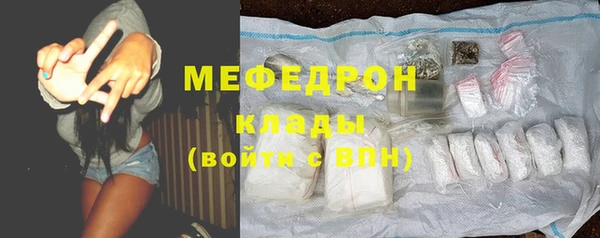 индика Заволжье