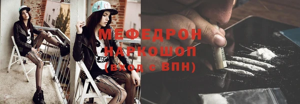 индика Заволжье