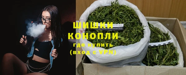 индика Заволжье