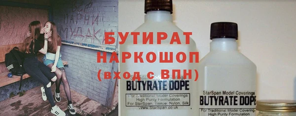 индика Заволжье