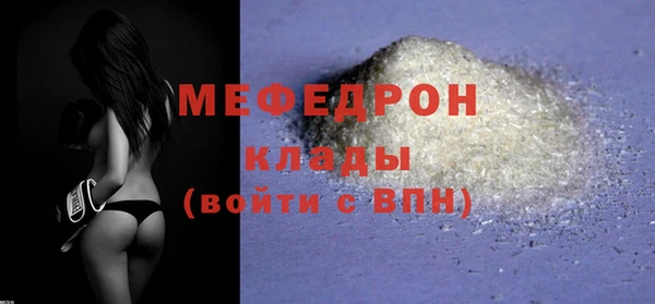 индика Заволжье