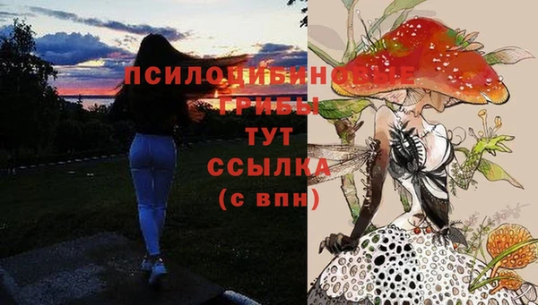 гашиш Зеленокумск