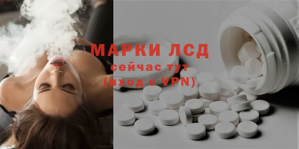 индика Заволжье