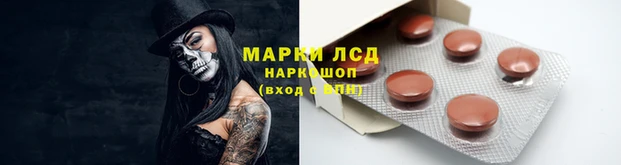 индика Заволжье