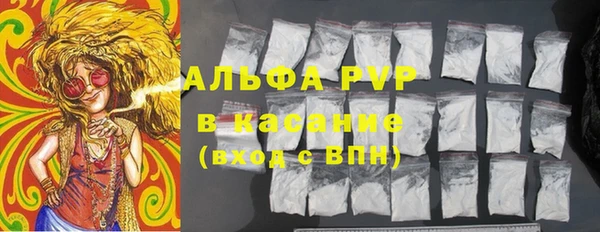 индика Заволжье